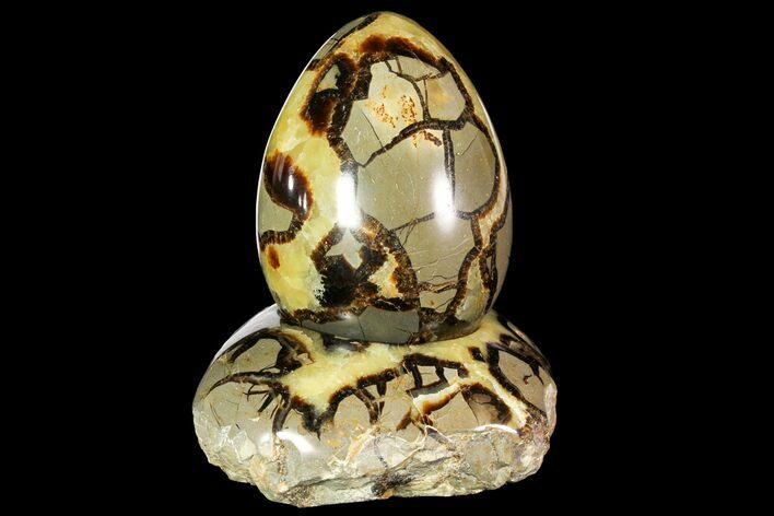 Polished Septarian Egg with Stand - Madagascar #118142